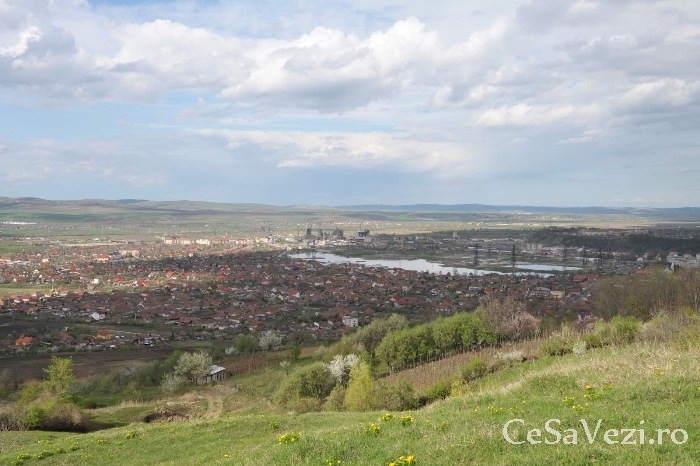 Ocna Mures
