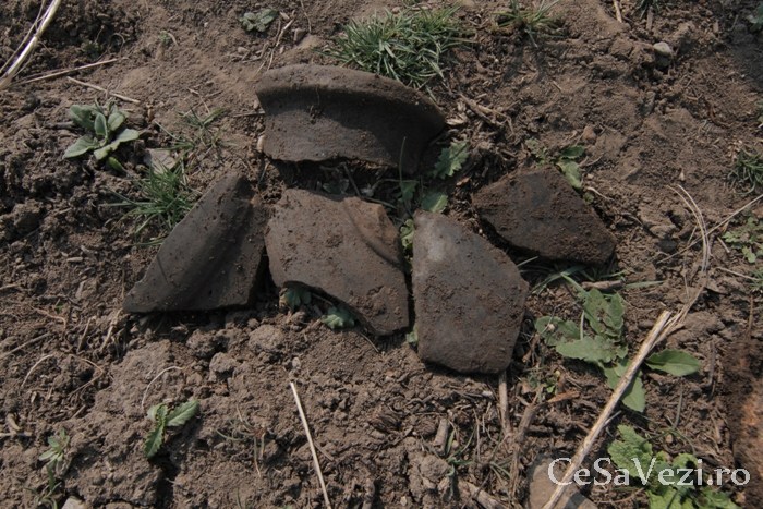 Cetatea dacica Argedava