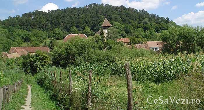 Biserica Evanghelică şi Cetatea Ţărănească