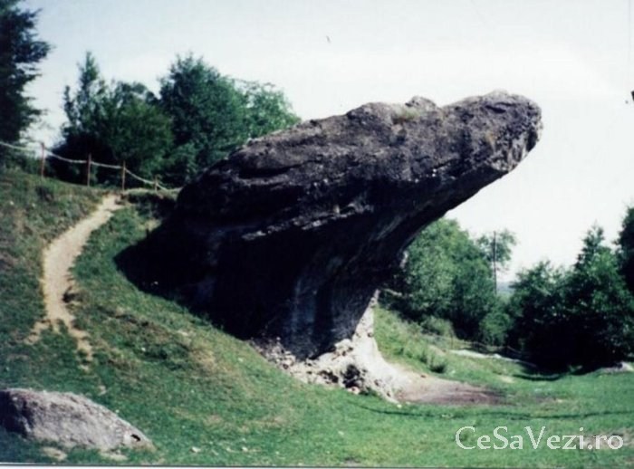 calcare cisnadioara 1