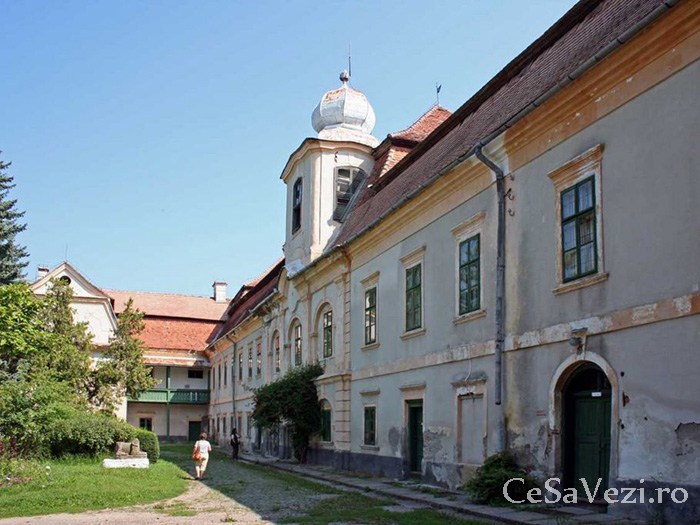 Castelul Bornemisza