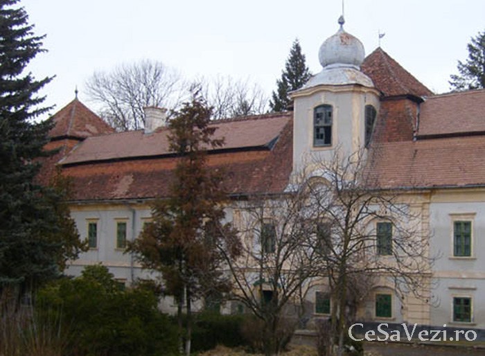 Castelul Bornemisza