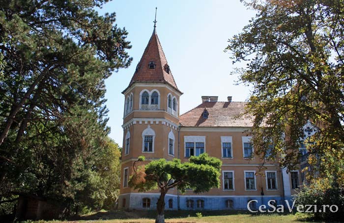 Castelul Ugron