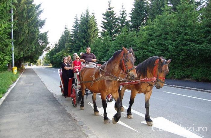 Centrul de echitaţie