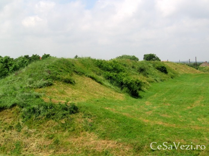 cetatea biharia 2
