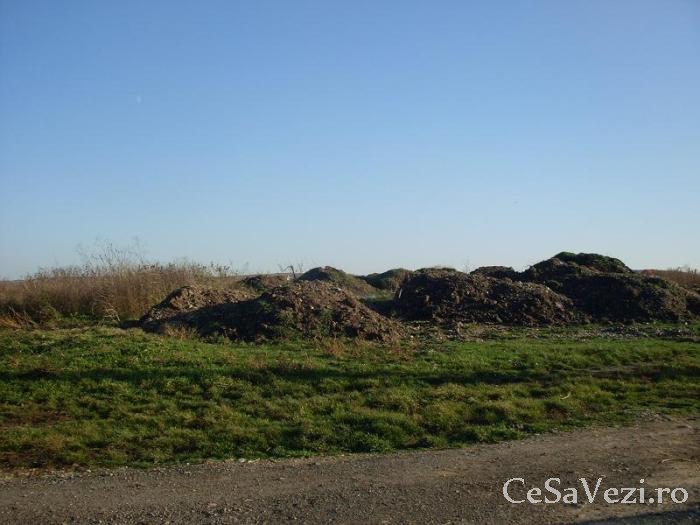 cetatea biharia 3