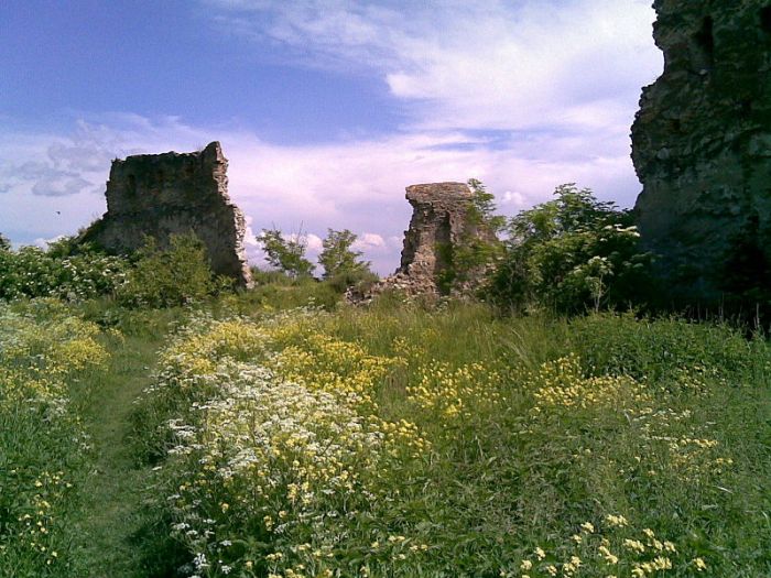 Cetatea Feldioara