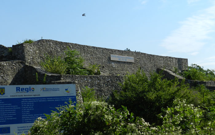 Cetatea Medievală a Severinului