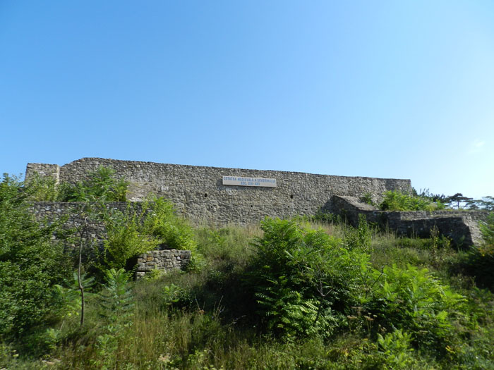 Cetatea Medievală a Severinului