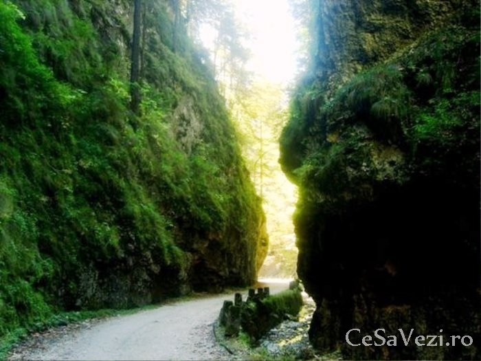 Cheile Dambovitei