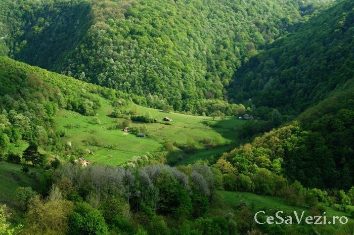 cheile carasului 4