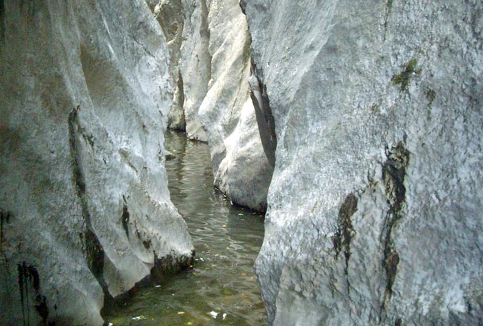 Cheile Crivadiei