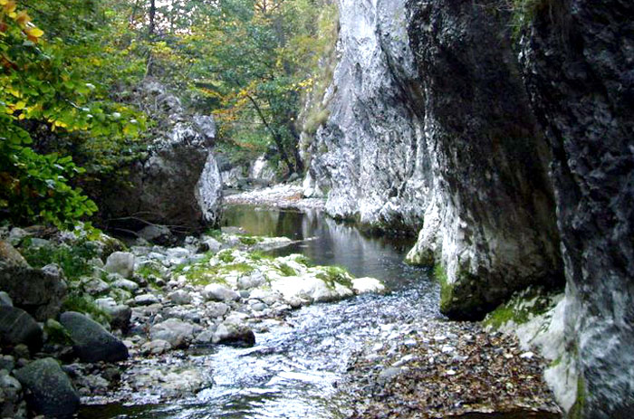 Cheile Crivadiei