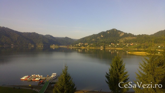colibita 2
