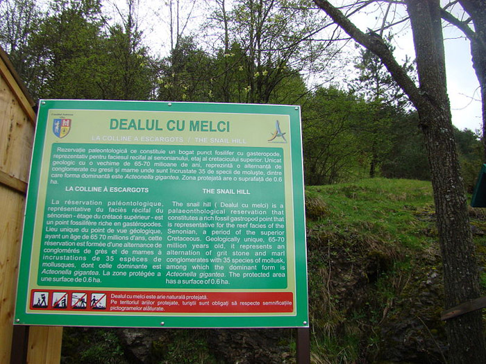 Dealul cu Melci