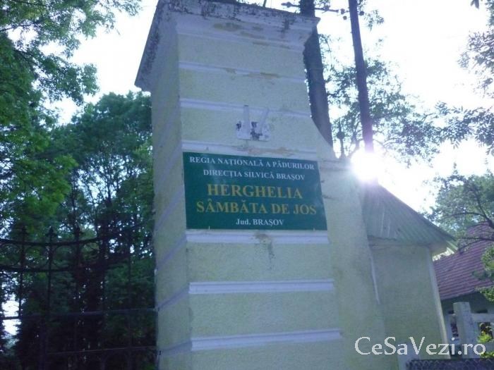 Herghelia din Sâmbăta de Jos