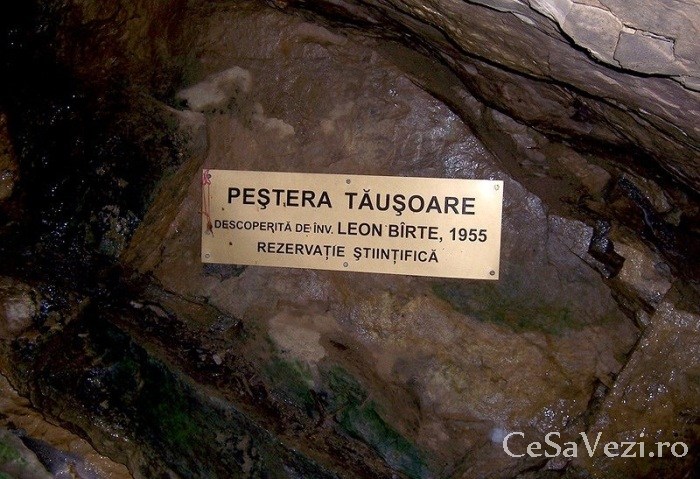 Pestera Tausoare
