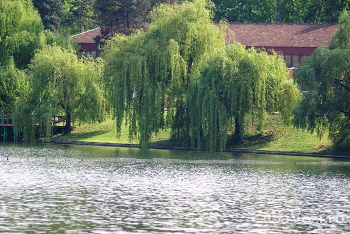 Lacul Floreasca