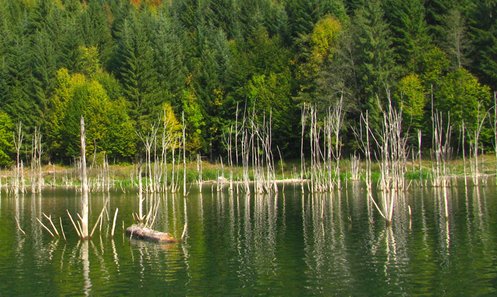 Lacul Cuejdel