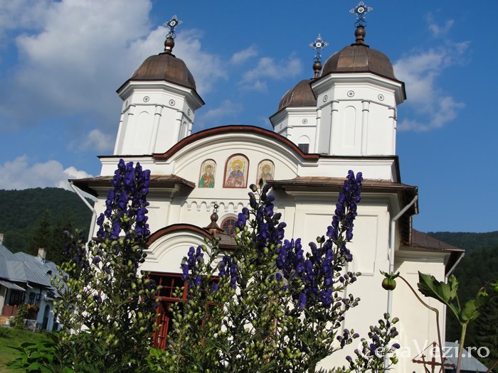 Manastirea Suzana
