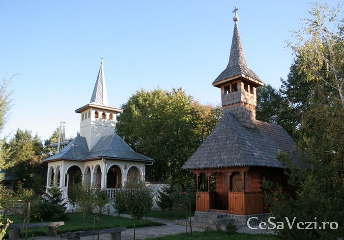 Mănăstirea Teiuş