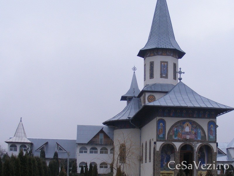 Mănăstirea Teiuş