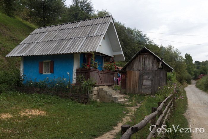 Mănăstirea Rohiţa