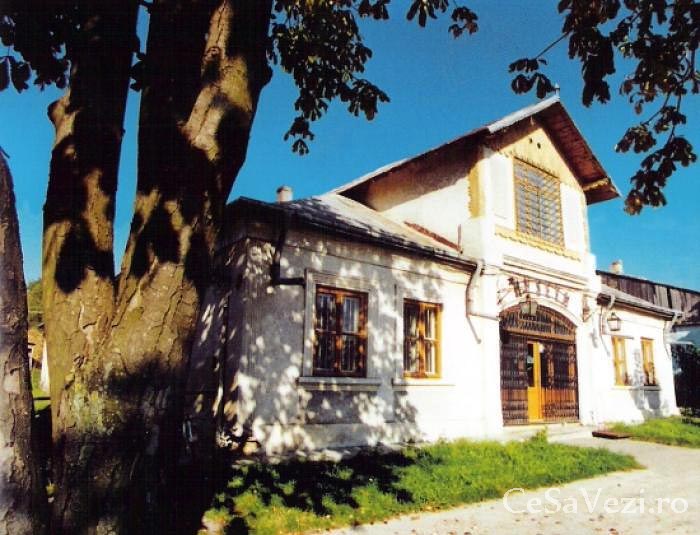 Muzeul Judeţean Botoşani