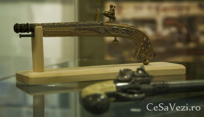 Muzeul de Istorie si Arheologie Piatra Neamt