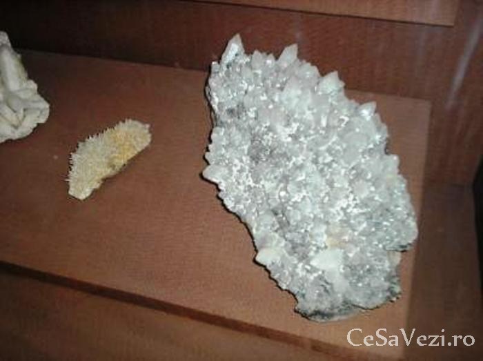 Muzeul de Stiinte ale Naturii din Targu Mures