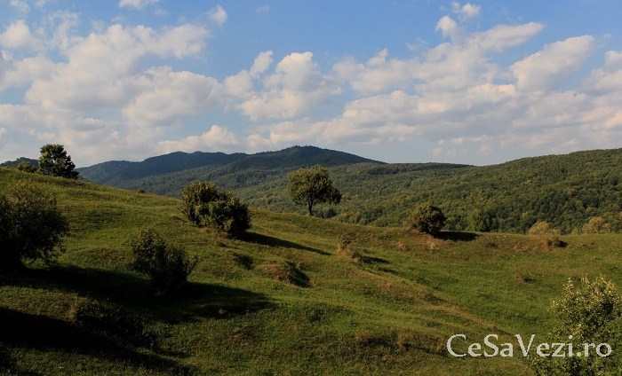 muzeul etnografic pietrosita 2
