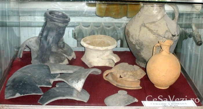 Muzeul Romanaţului