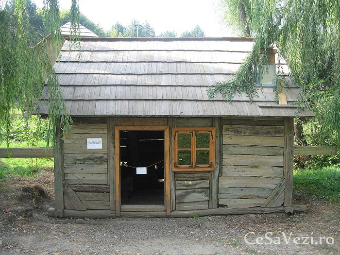 Muzeul Satului Bucovinean