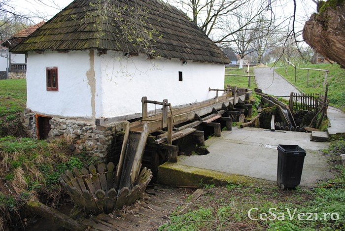 Muzeul Ţării Oaşului