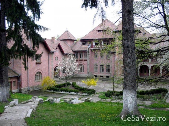 Palatul Stirbei Darmanesti