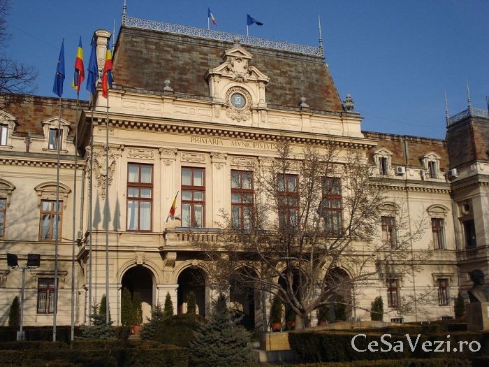 palatul roznovanu 1
