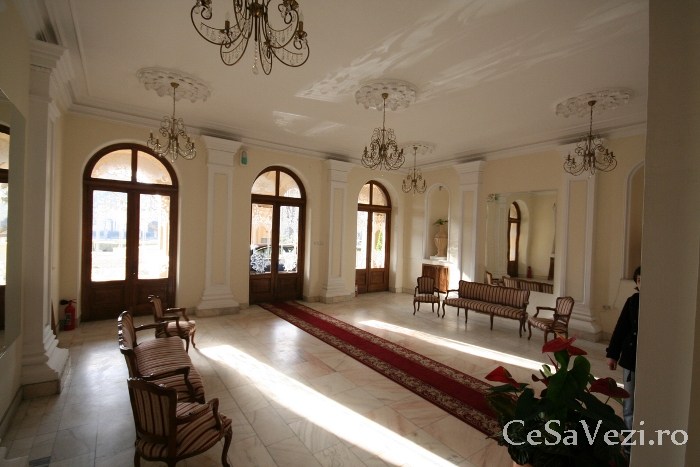 palatul roznovanu 2