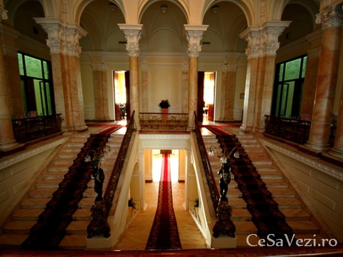 palatul roznovanu 3