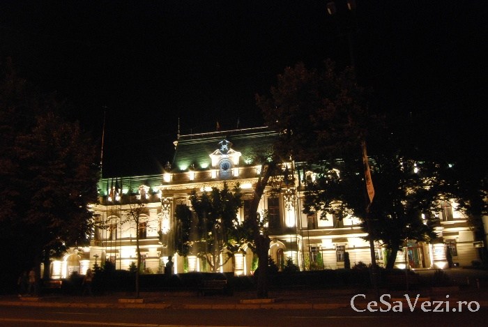 palatul roznovanu 4