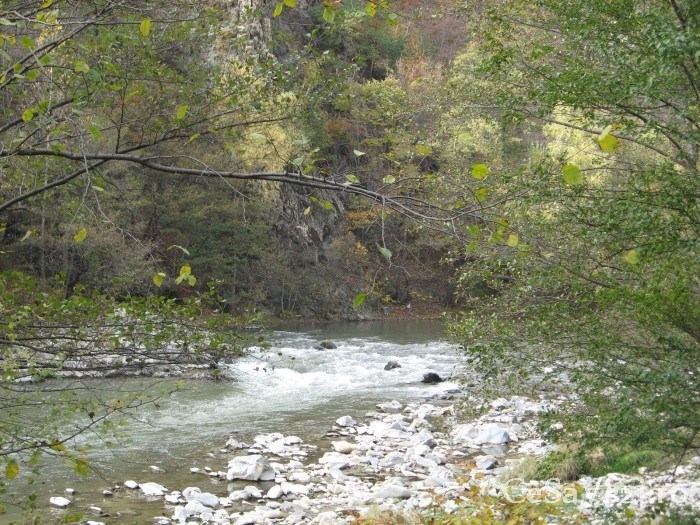 Parcul National Defileul Jiului