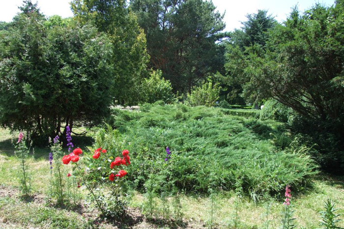 Parcul Dendrologic Arcalia