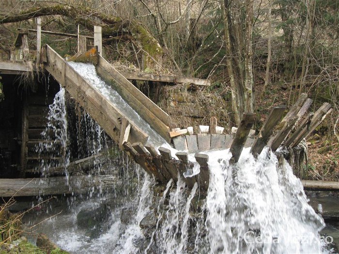 Parcul Naţional Munţii Maramureşului