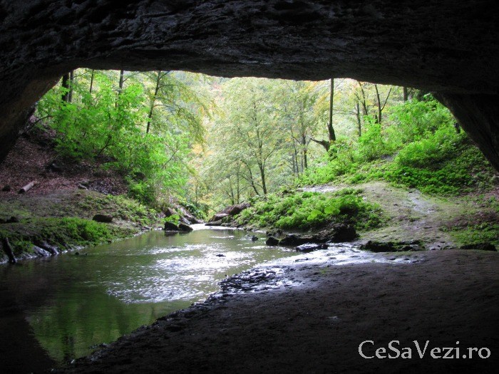 Pestera cu Apa din Valea Lesului Bihor
