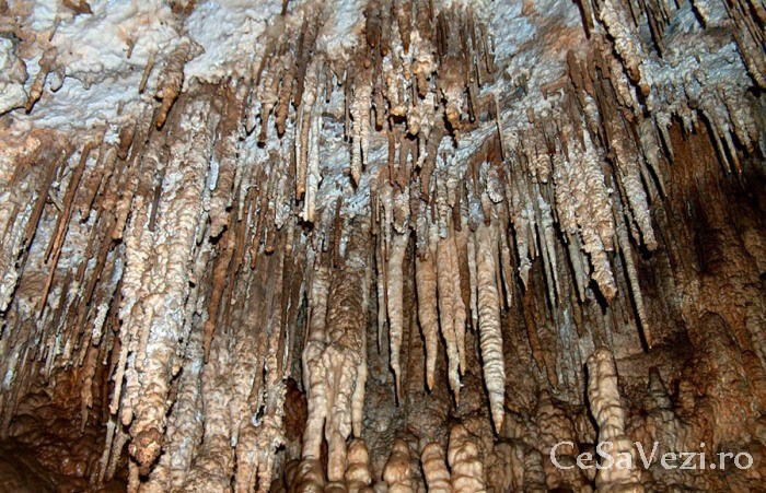 pestera tausoarelor 3