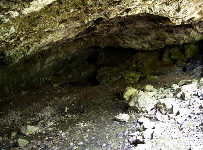 Peştera Toşorog