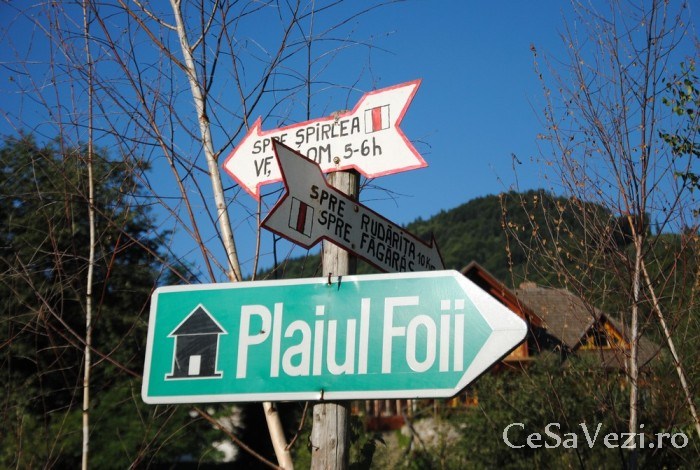 Plaiul Foii