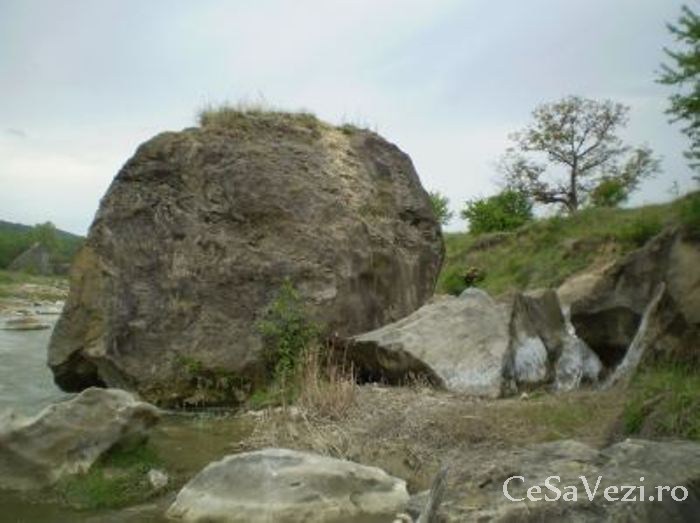Rezervatia naturala Blocurile de calcar de la Badila