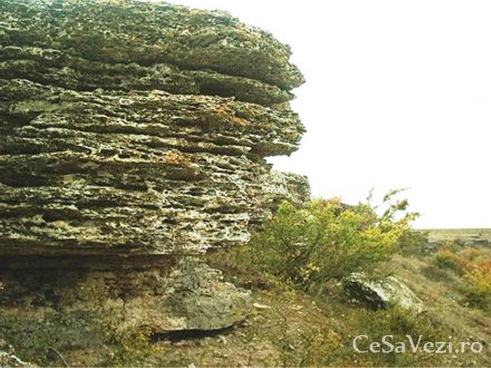 Rezervatia Naturala Obanul Mare
