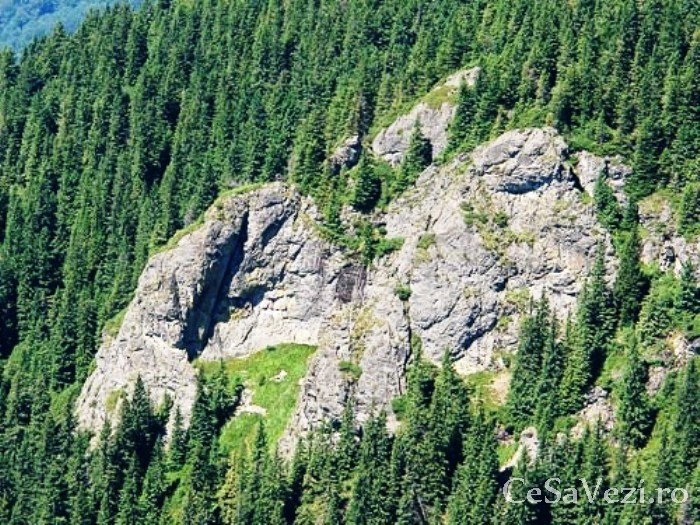 Rezervatia Naturala Arcer Tibles