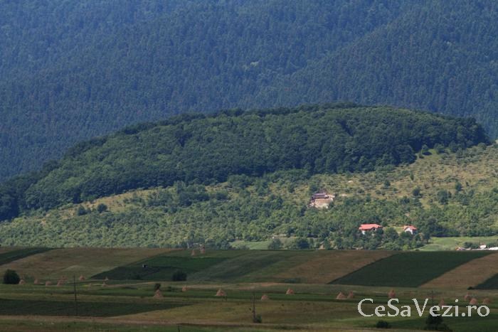 Rezervatia Forestiera Codrii de Arama